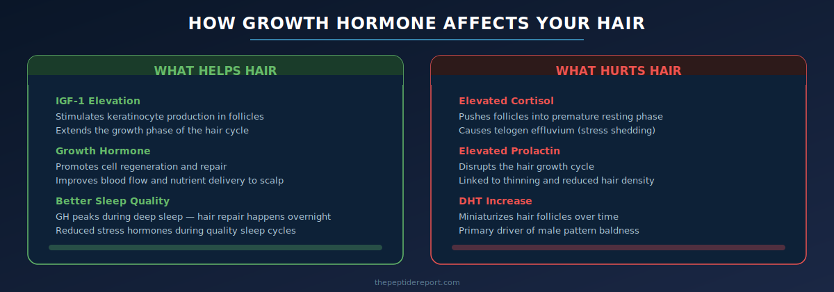 How growth hormone affects your hair - IGF-1 and GH help hair while cortisol prolactin and DHT hurt hai