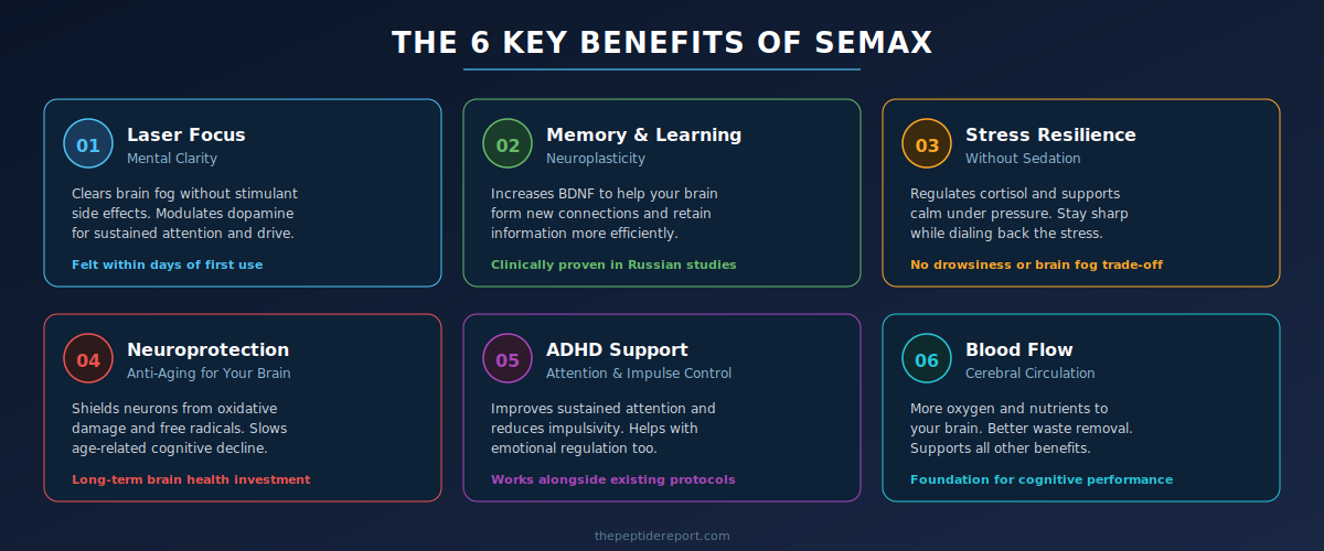 The 6 key benefits of Semax peptide - focus memory stress resilience neuroprotection ADHD support blood flow