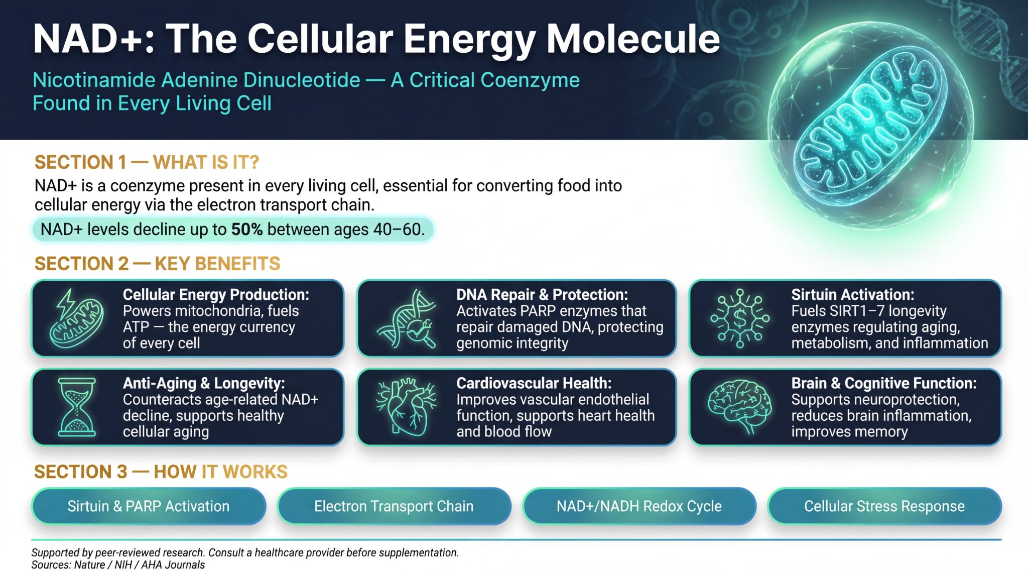 NAD+ Dosages and Protocol