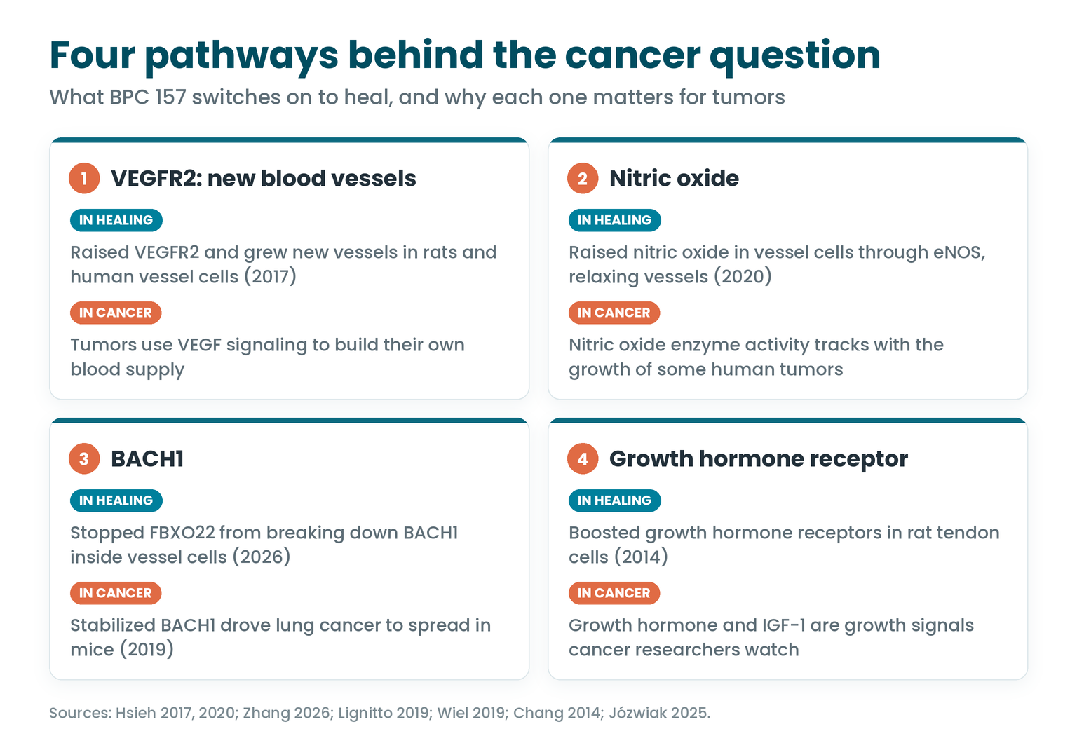 Four pathways BPC 157 switches on to heal, VEGFR2, nitric oxide, BACH1 and the growth hormone receptor, and why each matters for cancer