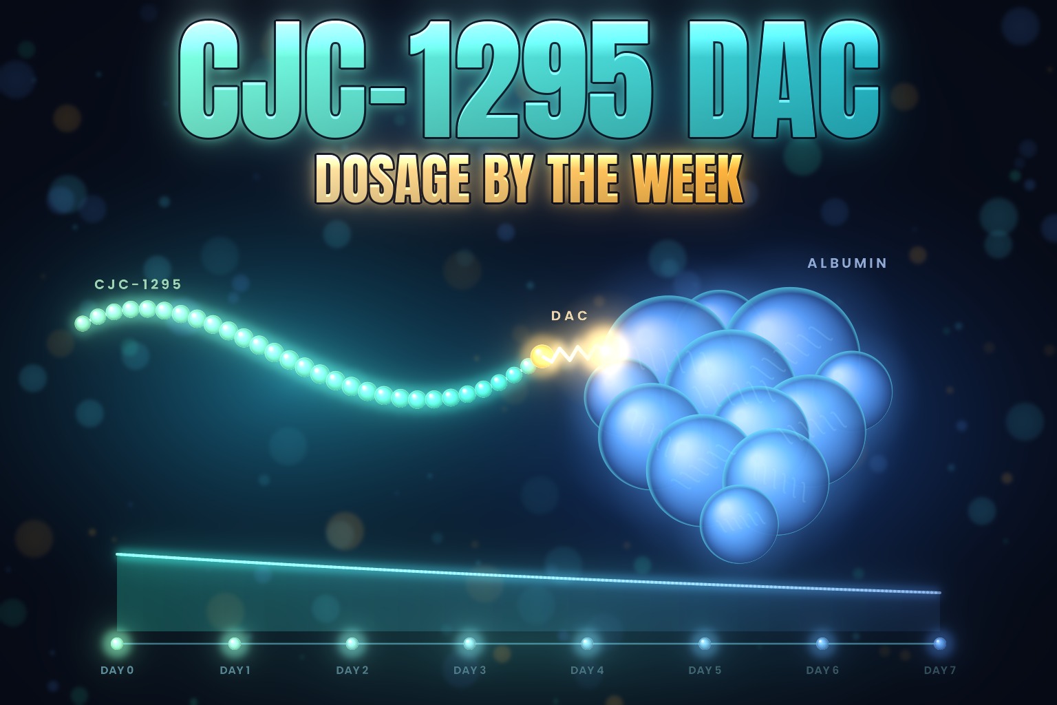Neon illustration of a teal CJC-1295 bead chain hooked by an amber DAC link onto a large albumin protein, with a seven-day track fading out to the right