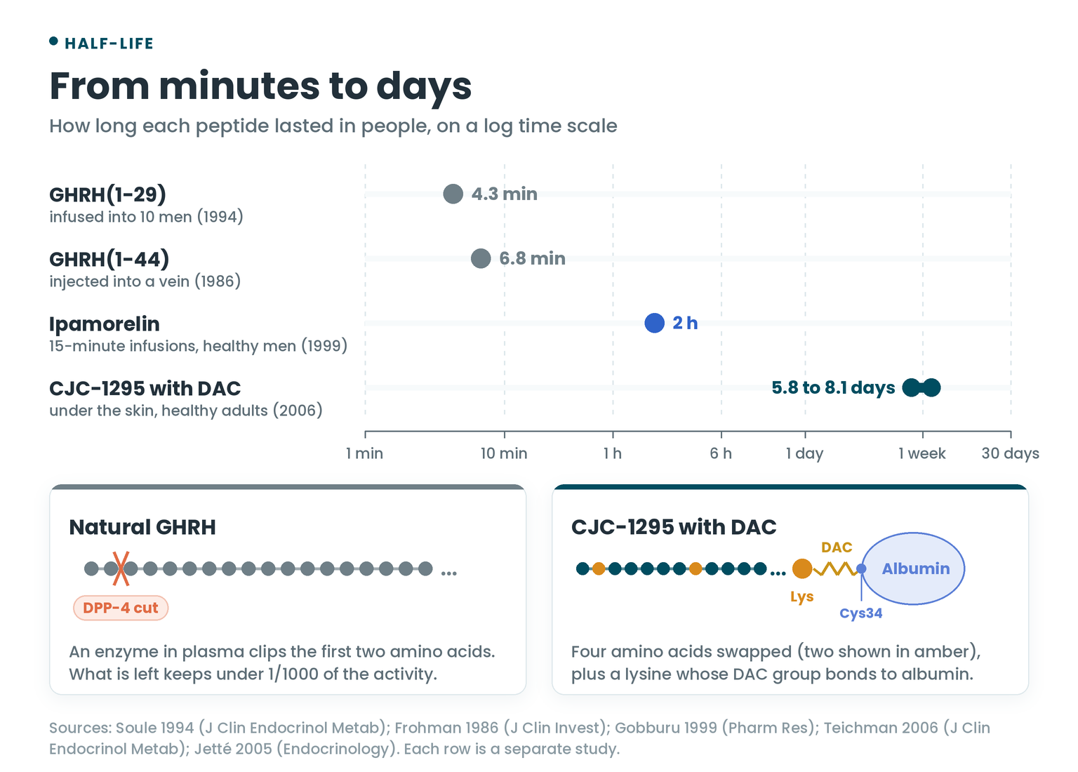 Half-life ladder on a log time scale: GHRH(1-29) 4.3 minutes, GHRH(1-44) 6.8 minutes, ipamorelin 2 hours, CJC-1295 with DAC 5.8 to 8.1 days, with a diagram of the DAC lysine bonding to albumin at Cys34