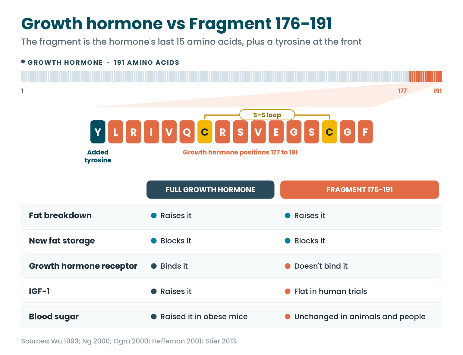 Full growth hormone vs HGH Fragment 176-191: where the fragment sits in the hormone and what each one does to fat, the growth hormone receptor, IGF-1 and blood sugar
