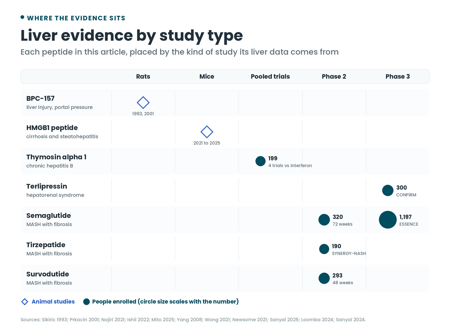 Where each peptide's liver evidence comes from, from rat and mouse studies to pooled trials, phase 2 and phase 3 trials, with the number of people in each