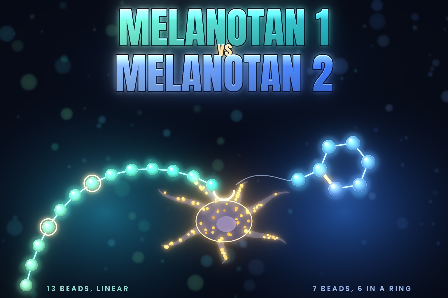 Neon illustration of a melanocyte with gold melanin granules between a teal 13-bead Melanotan 1 chain and a blue Melanotan 2 ring of six beads with a one-bead tail