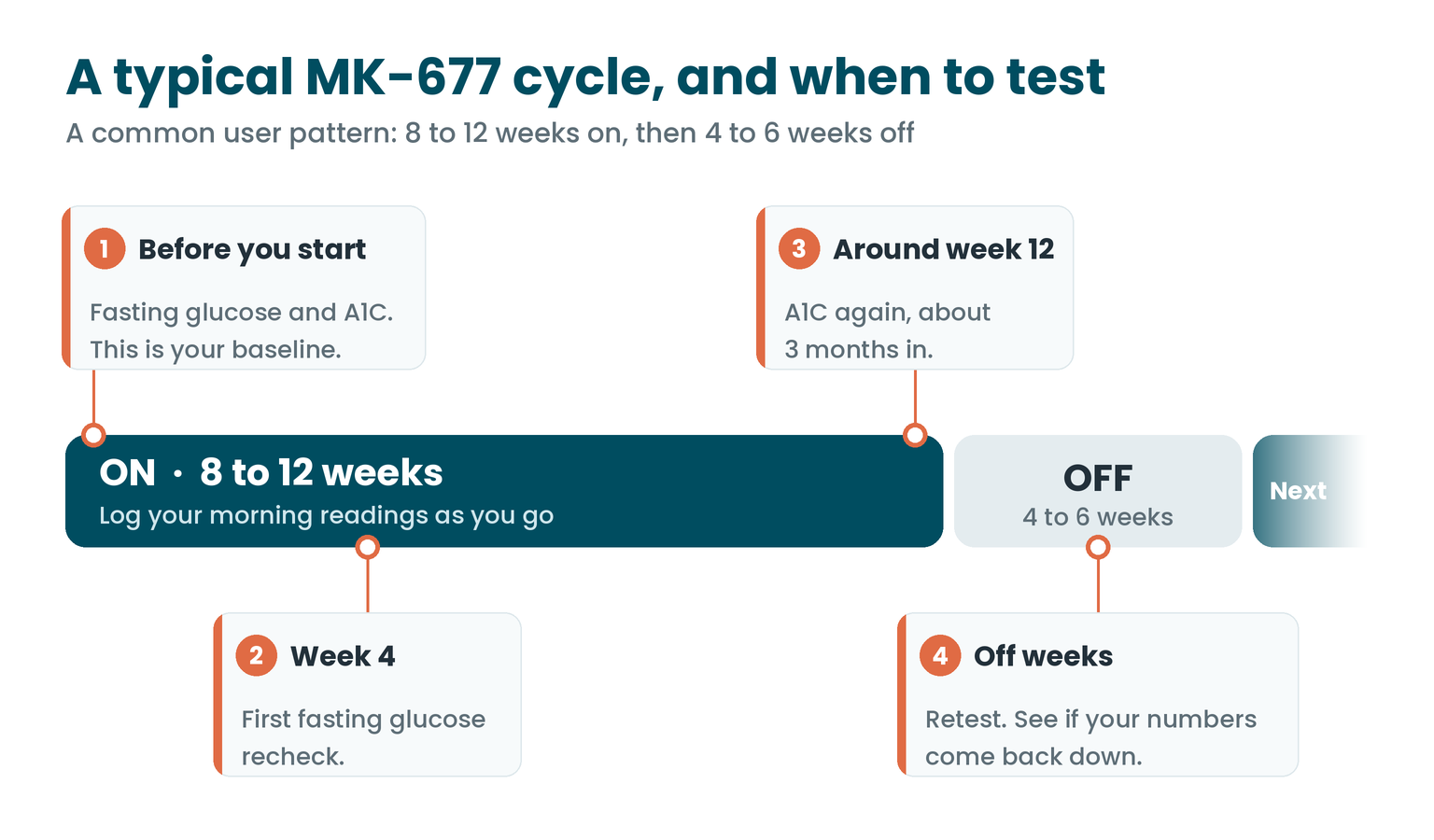 A typical MK-677 cycle of 8 to 12 weeks on and 4 to 6 weeks off, with blood sugar tests before starting, at week 4, around week 12 and during the off weeks