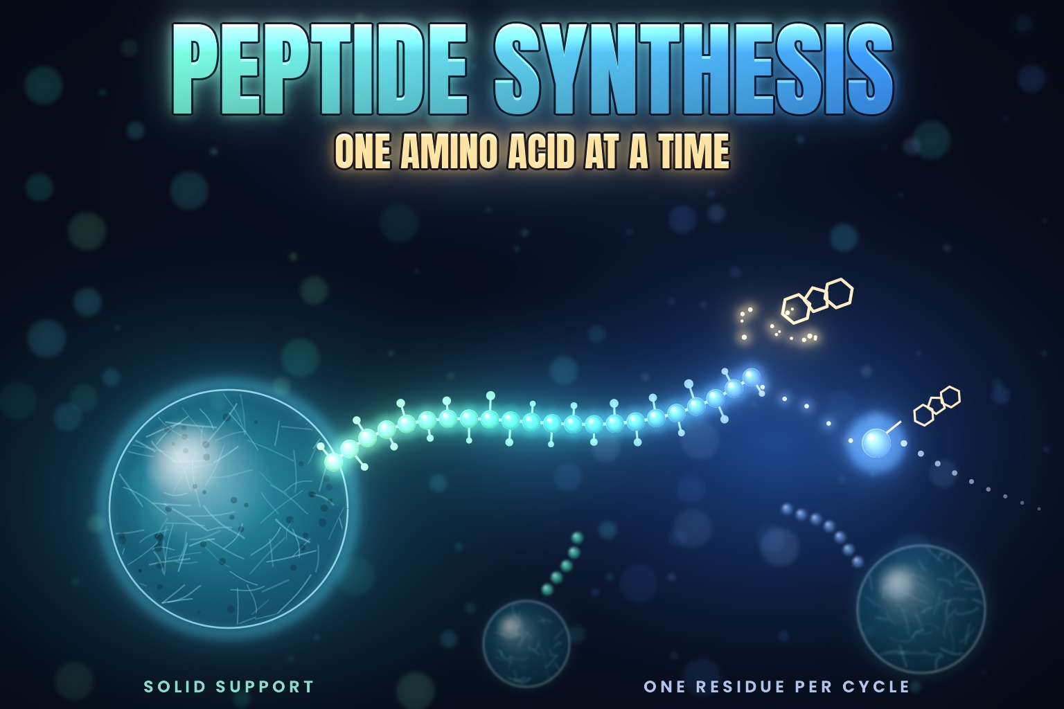 A peptide chain being built bead by bead from a resin bead, with a capped amino acid arriving to join it