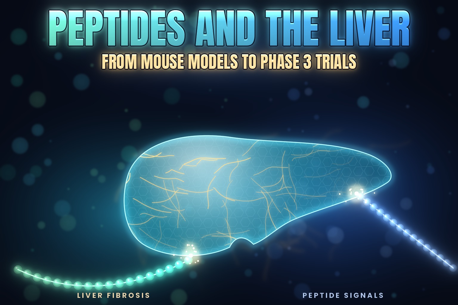 A glowing liver with strands of scar tissue on one side and peptide chains reaching it from the other