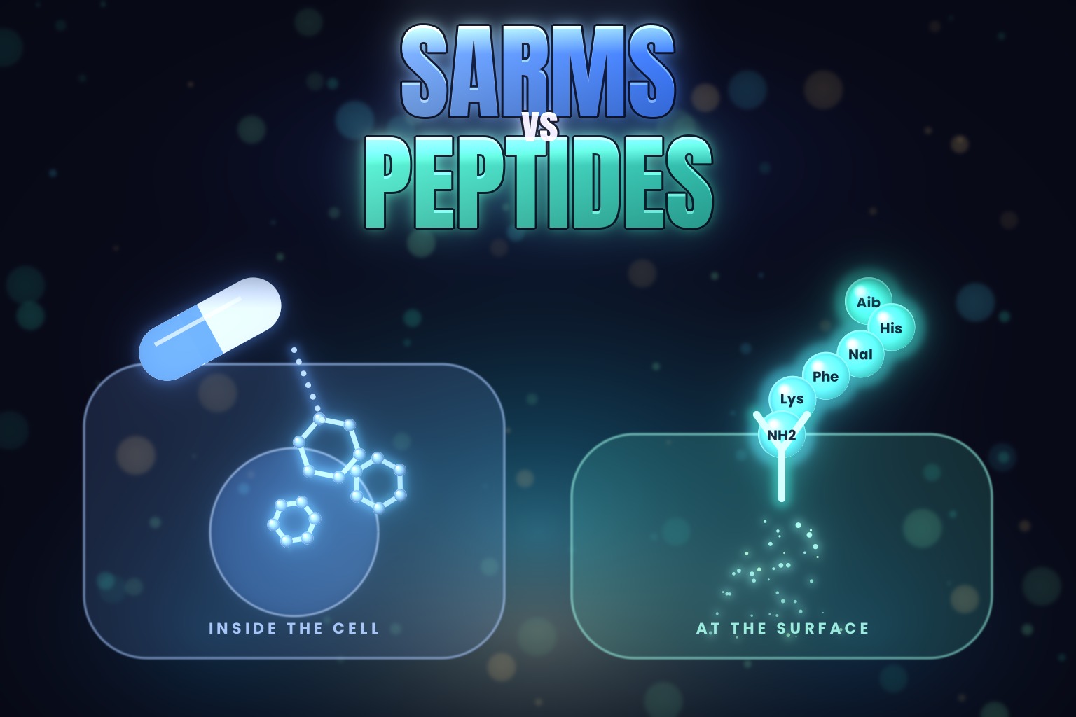 SARMs vs peptides hero: a blue capsule and a hexagonal small molecule entering a cell on the left, a teal six-bead peptide chain docking on a surface receptor on the right