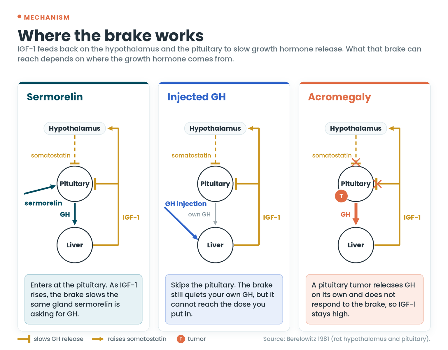 Three diagrams of the growth hormone feedback loop: sermorelin enters at the pituitary where the IGF-1 brake acts, injected GH goes straight to the liver past the brake, and in acromegaly a pituitary tumor ignores the brake