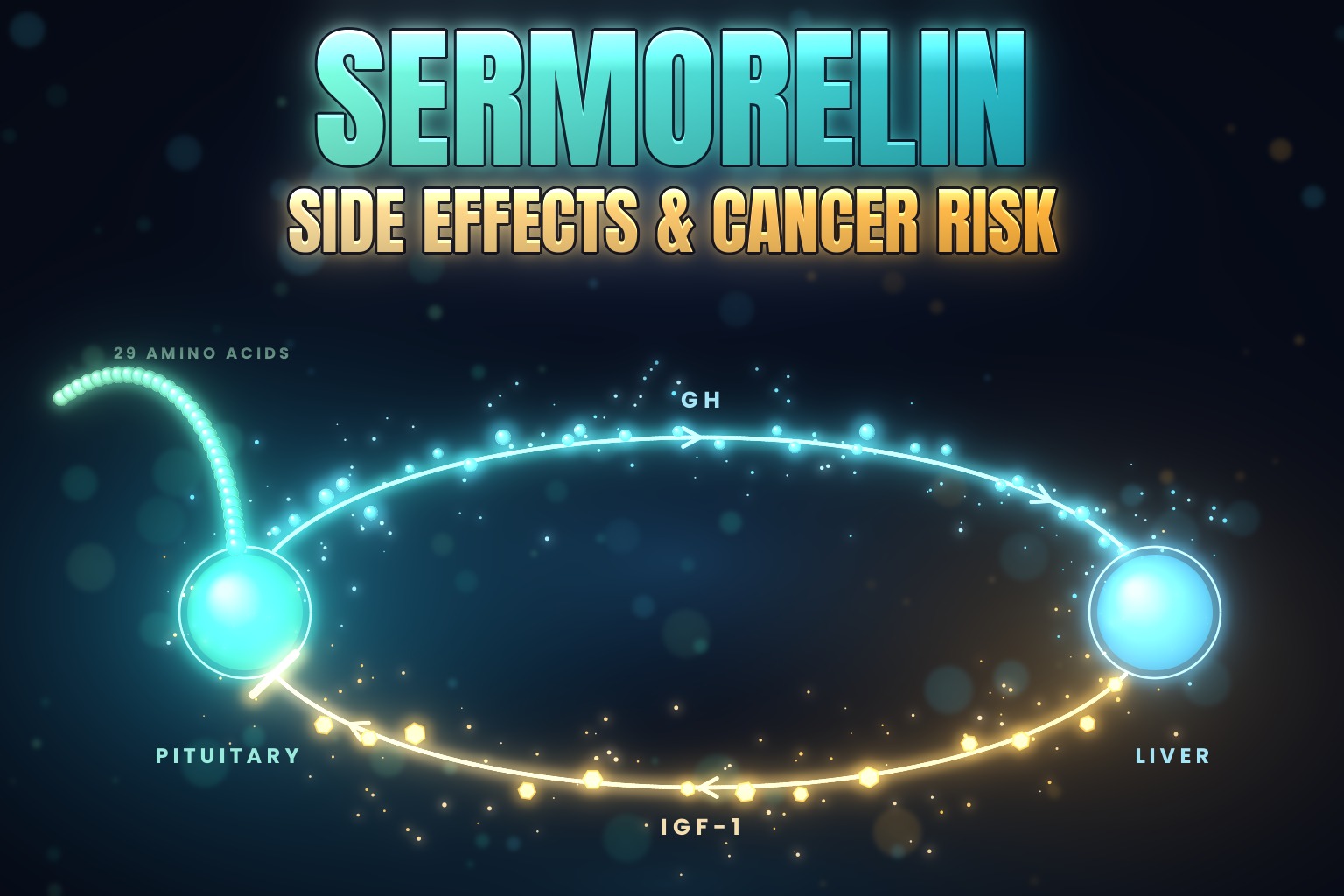 Sermorelin side effects and cancer risk: a glowing feedback loop with a 29-bead teal sermorelin chain feeding a pituitary orb, cyan growth hormone flowing over the top to the liver, and amber IGF-1 returning underneath to a brake bar at the pituitary