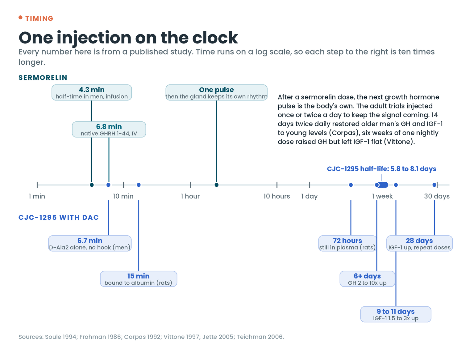One injection on the clock, log time scale: sermorelin half-time 4.3 minutes, native GHRH 6.8 minutes, one growth hormone pulse then the gland's own rhythm; CJC-1295 with DAC bound to albumin at 15 minutes in rats, still in plasma at 72 hours, half-life 5.8 to 8.1 days, growth hormone 2 to 10 times up for six or more days, IGF-1 1.5 to 3 times up for 9 to 11 days, and IGF-1 still up at 28 days after repeat doses
