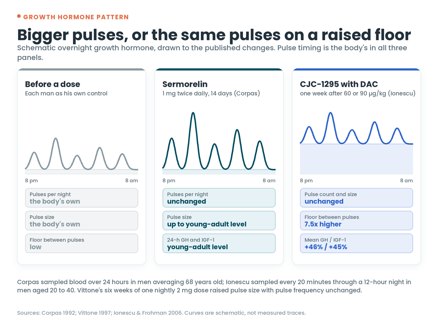 Schematic overnight growth hormone: before a dose, the body's own pulses on a low floor; after 14 days of sermorelin 1 mg twice daily, pulses per night unchanged and pulse size up to young-adult level with 24-hour GH and IGF-1 at young-adult levels; one week after CJC-1295 with DAC, pulse count and size unchanged, the floor between pulses 7.5 times higher, mean GH up 46% and IGF-1 up 45%
