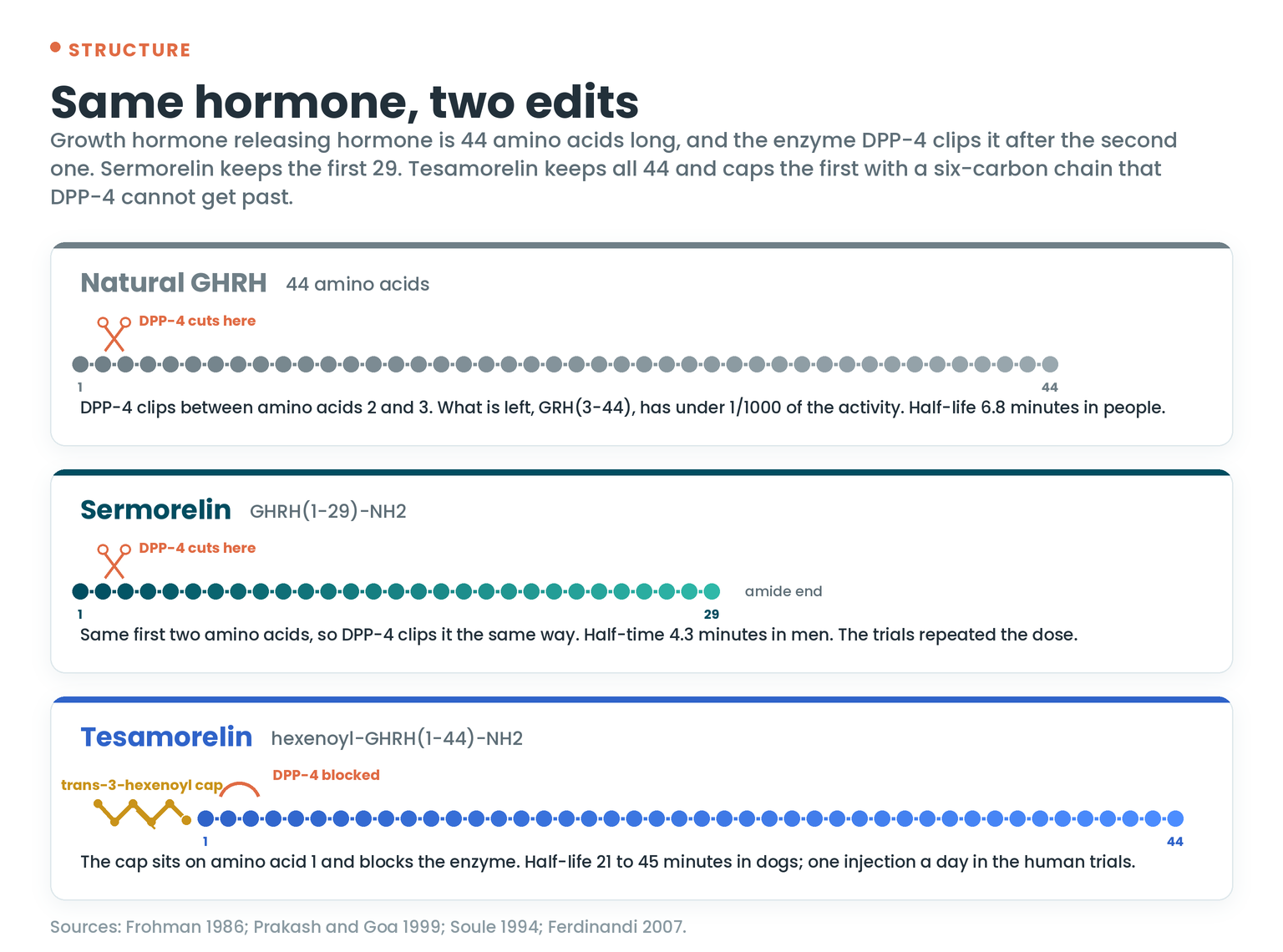 Three bead chains: natural GHRH with 44 amino acids and a DPP-4 cut mark after the second, sermorelin with the first 29 and the same cut mark, and tesamorelin with all 44 plus a gold trans-3-hexenoyl cap on amino acid 1 that blocks DPP-4