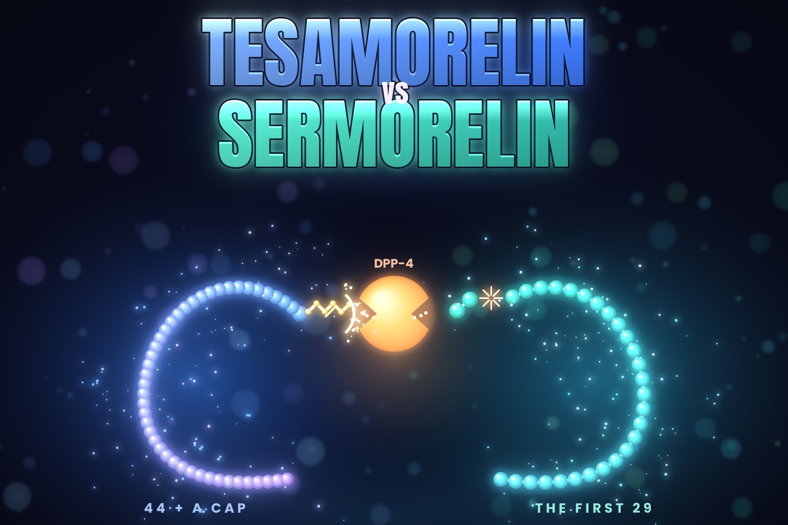 Tesamorelin vs sermorelin: an orange DPP-4 enzyme in the middle, a 44-bead blue tesamorelin chain on the left whose first bead carries a gold hexenoyl cap the enzyme bounces off, and a 29-bead teal sermorelin chain on the right with its first two beads clipped away